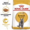 Royal Canin British Shorthair Adult     - zooural.ru - 