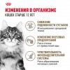 Royal Canin AGEING 12+     - zooural.ru - 