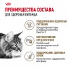Royal Canin AGEING 12+     - zooural.ru - 