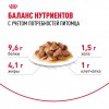 Royal Canin AGEING 12+     - zooural.ru - 