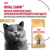 Royal Canin British Shorthair Adult     - zooural.ru - 