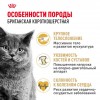 Royal Canin British Shorthair Adult     - zooural.ru - 