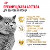 Royal Canin British Shorthair Adult     - zooural.ru - 