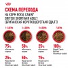 Royal Canin British Shorthair Adult     - zooural.ru - 