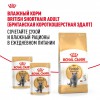 Royal Canin British Shorthair Adult     - zooural.ru - 