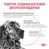 Royal Canin GASTROINTESTINAL     - zooural.ru - 