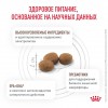 Royal Canin GASTROINTESTINAL     - zooural.ru - 