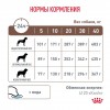 Royal Canin GASTROINTESTINAL     - zooural.ru - 