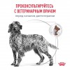 Royal Canin GASTROINTESTINAL     - zooural.ru - 