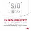 Royal Canin GASTROINTESTINAL     - zooural.ru - 