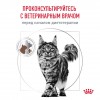 Royal Canin GASTROINTESTINAL     - zooural.ru - 