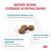 Royal Canin HYPOALLERGENIC     - zooural.ru - 