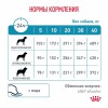 Royal Canin HYPOALLERGENIC     - zooural.ru - 