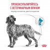 Royal Canin HYPOALLERGENIC     - zooural.ru - 