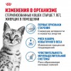 Royal Canin INDOOR STERILISED 7+     - zooural.ru - 