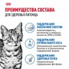 Royal Canin INDOOR STERILISED 7+     - zooural.ru - 