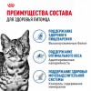 Royal Canin INDOOR STERILISED     - zooural.ru - 