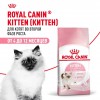 Royal Canin Kitten     - zooural.ru - 