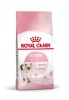 Royal Canin Kitten     - zooural.ru - 
