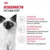 Royal Canin Kitten     - zooural.ru - 