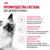 Royal Canin Kitten     - zooural.ru - 