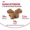 Royal Canin Kitten     - zooural.ru - 