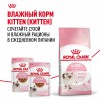 Royal Canin Kitten     - zooural.ru - 