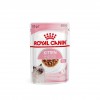 Royal Canin Kitten Gravy       - zooural.ru - 