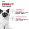 Royal Canin Kitten Gravy       - zooural.ru - 