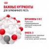 Royal Canin Kitten Gravy       - zooural.ru - 