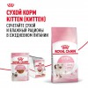Royal Canin Kitten Gravy       - zooural.ru - 