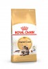 Royal Canin Maine Coon Adult     - zooural.ru - 