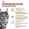 Royal Canin Maine Coon Adult     - zooural.ru - 