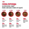 Royal Canin Maine Coon Adult     - zooural.ru - 
