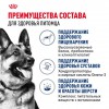 Royal Canin Maxi Adult     - zooural.ru - 