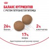 Royal Canin Maxi Adult     - zooural.ru - 