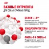 Royal Canin Maxi Adult     - zooural.ru - 