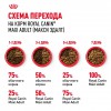 Royal Canin Maxi Adult     - zooural.ru - 