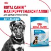 Royal Canin Maxi Puppy     - zooural.ru - 