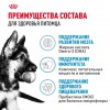 Royal Canin Maxi Puppy     - zooural.ru - 