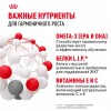 Royal Canin Maxi Puppy     - zooural.ru - 