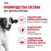 Royal Canin Medium Adult     - zooural.ru - 
