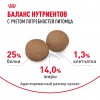 Royal Canin Medium Adult     - zooural.ru - 