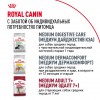 Royal Canin Medium Adult     - zooural.ru - 