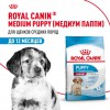Royal Canin Medium Puppy     - zooural.ru - 