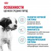 Royal Canin Medium Puppy     - zooural.ru - 