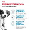 Royal Canin Medium Puppy     - zooural.ru - 