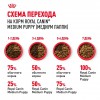 Royal Canin Medium Puppy     - zooural.ru - 