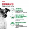 Royal Canin Mini Adult     - zooural.ru - 