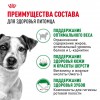 Royal Canin Mini Adult     - zooural.ru - 